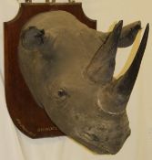 A taxidermy stuffed and mounted Black Rhinoceros head with horns,