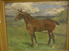 EARLY 20TH CENTURY ENGLISH SCHOOL "Polo pony", oil on canvas,