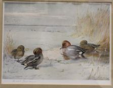 AFTER ARCHIBALD THORBURN "Teal and Widgeon", "Nuthatch", colour prints,
