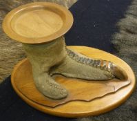 A taxidermy stuffed and mounted Ostrich foot as a dish with turned bowl,