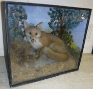 A taxidermy stuffed and mounted Fox with Partridge prey,