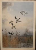 AFTER JOHN CYRIL HARRISON "Spring Teal in flight", colour print, limited edition 199/250,