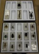 Three cases and a collection of 18 various mounted insects, etc, including Japanese Emerald Beetle,