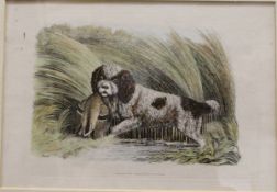 AFTER SAMUEL HOWITT "Spaniel and Pheasant", "Pointer and Partridge",