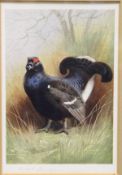 AFTER ARCHIBALD THORBURN "Black Game", colour print, signed in pencil lower left,