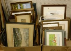 Two boxes of assorted pictures and prints to include a 19th Century hand-coloured black and white