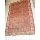 A red ground Caucasian rug with all over repeating pattern in browns on a stepped cream border 192