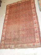 A red ground Caucasian rug with all over repeating pattern in browns on a stepped cream border 192