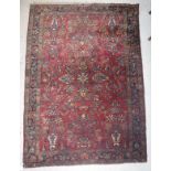 A Caucasian rug, the central panel set with all-over floral design on a red ground,