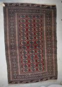 A Bokhara rug on a red ground with thirty-nine elephant foot ghuls,