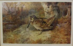 AFTER ARCHIBALD THORBURN "Woodcock", limited edition colour print, No'd.