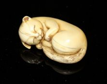 An early 20th Century Japanese carved ivory netsuke as a sleeping cat, signed to base,