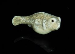 An early 20th Century Japanese carved ivory netsuke as a puffa fish, signed to base,