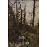 THEODORE HINES (1810-1890) "The swan", study of a swan on pond in a woodland, oil on board,