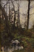 THEODORE HINES (1810-1890) "The swan", study of a swan on pond in a woodland, oil on board,