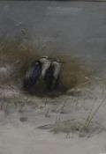 GEORGE EDWARD LODGE (1860-1954) "Herons huddled by a snowy reed bed",