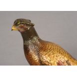 FRANZ BERGMAN, AUSTRIAN (1898-1963) A cold painted bronze figure of a golden pheasant,