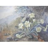 R G Johnson - primula, watercolour, signed and dated '88 lower left, 16.5cm x 22.