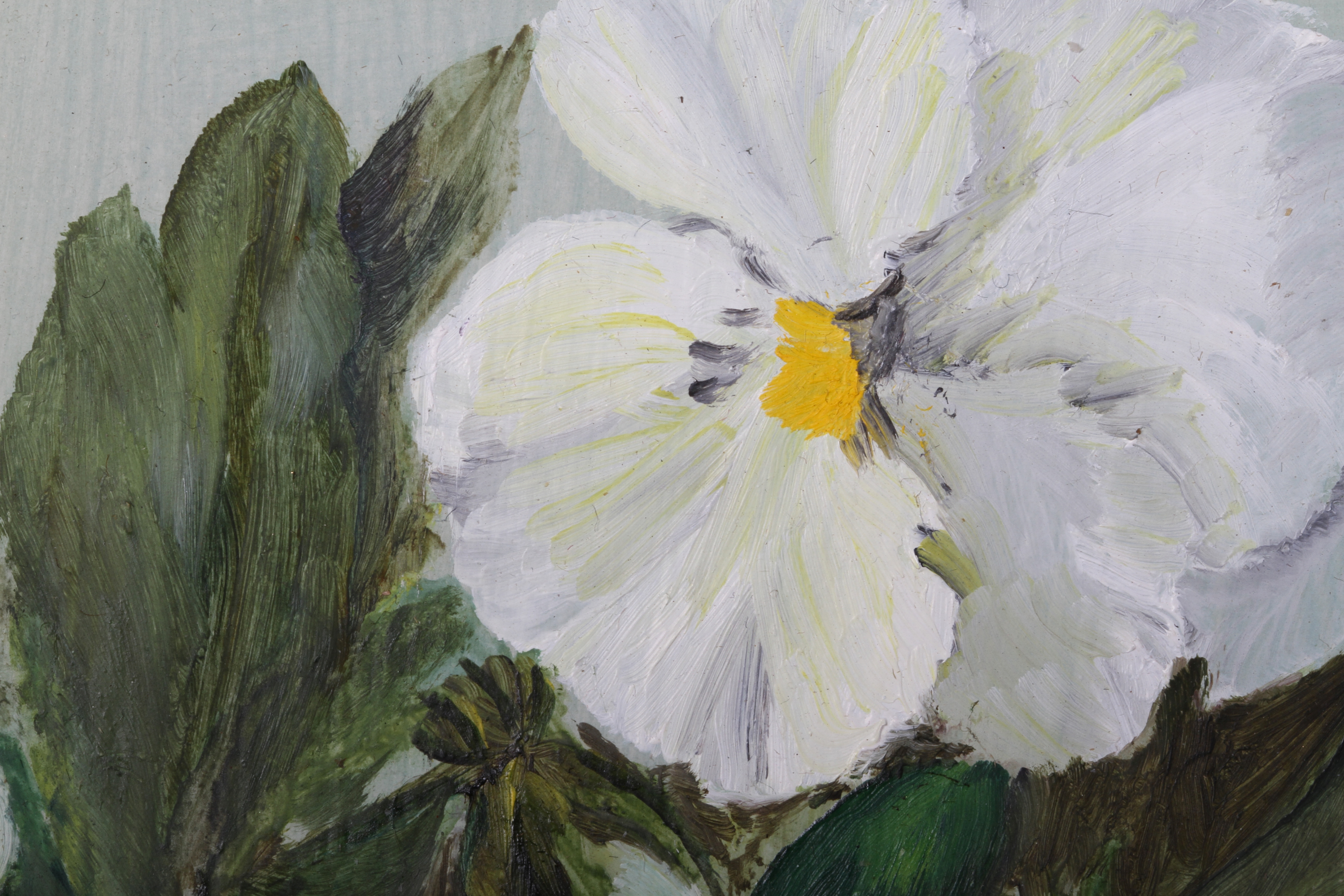 Jean Starkie (20th century), White Pansies, still life, oil on board, signed to lower left, 12. - Image 3 of 3
