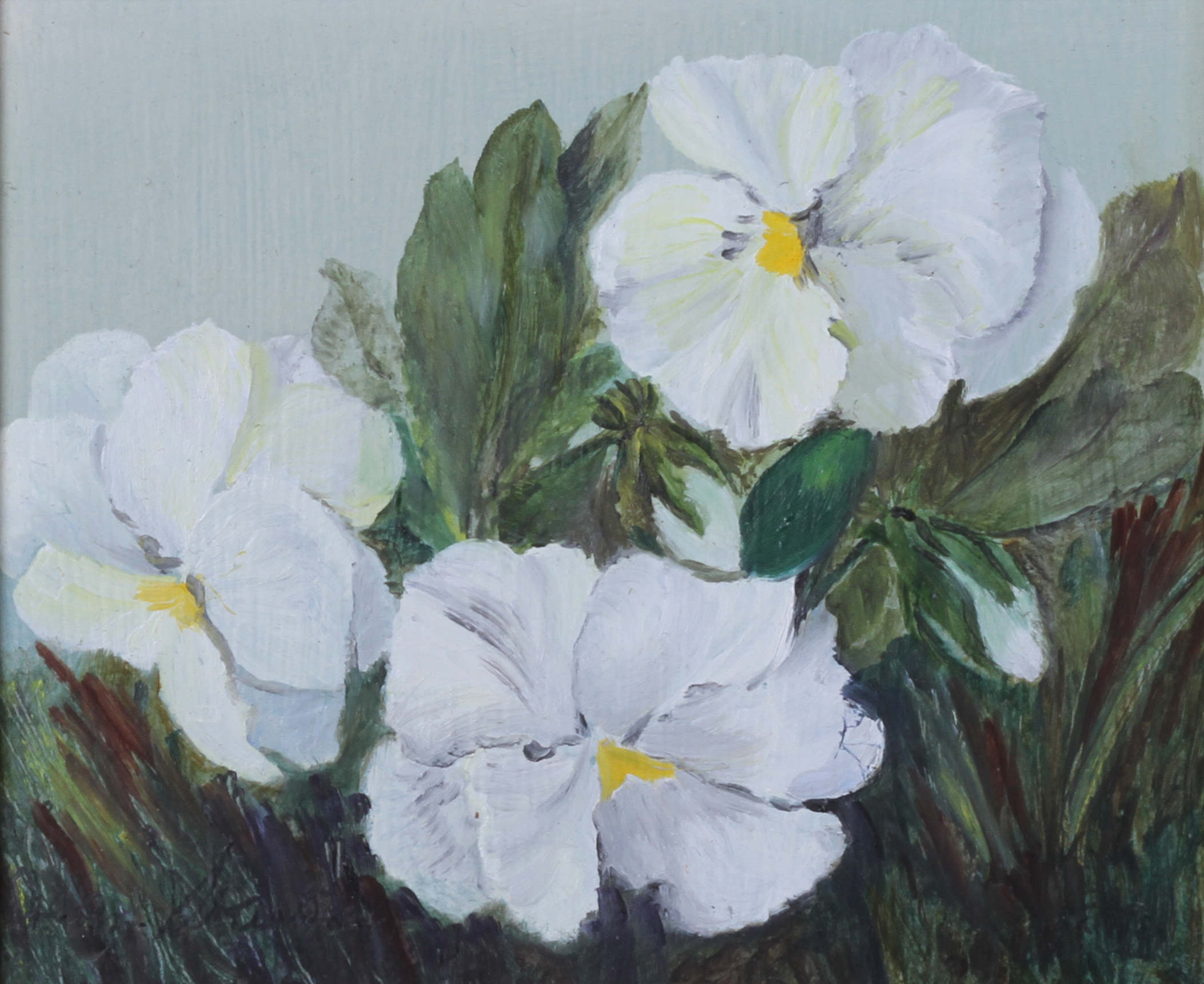Jean Starkie (20th century), White Pansies, still life, oil on board, signed to lower left, 12.