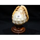 A Carved Cameo Shell Modelled As A Table Lamp