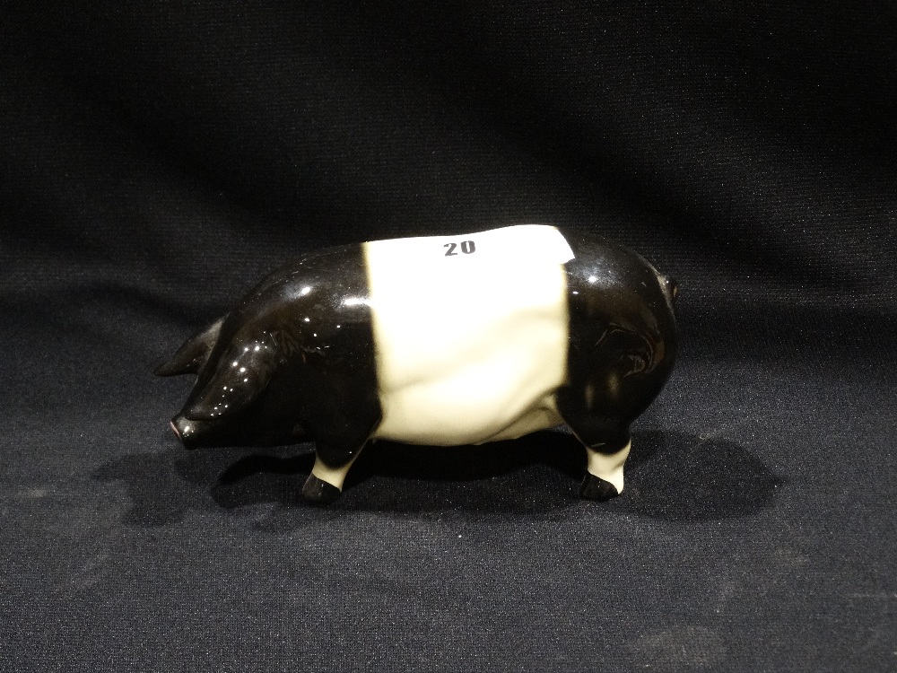A Coopercraft Model Of A Saddleback Pig