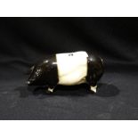 A Coopercraft Model Of A Saddleback Pig