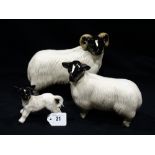 A Family Of Three Coopercraft Model Sheep