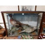 An Antique Taxidermy Cased Group Of Pheasants