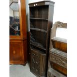 An Early 20th Century Polished Oak Bookcase Cupboard