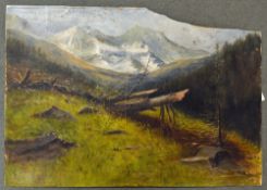 Adolf Hitler attributed oil painting dated 1911 depicts a snowy mountainous forest scene,