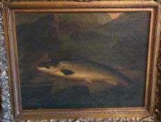 PAINTING: A. Rowland Knight, Salmon, original oil on canvas on board, fish on rock with gaff and