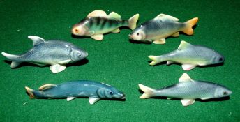 CERAMICS: (6) Collection of 6 miniature porcelain coarse fish, various species, the longest being
