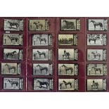 Ogden's Tab Cigarettes Race Horses and Jockeys cards c. 1900 - A & B Series General Interest to incl