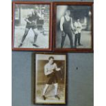 Boxing Heavyweight Photograph Selection Phil Scott, Jess Willard and Jack Sharkey depicts boxing