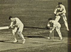 1936 W.R Hammond, W.A. Oldfield and H. Hendry Signed Cricket Photograph depicting Hammond batting,