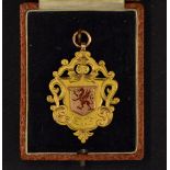 Rare 1911/12 Cardiff & District Rugby Union 9ct gold and enamel medal -with red enamel Welsh