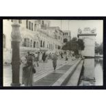 India The Golden Temple Photograph of the Lachiber Tree Golden Temple 1920-30s a large and fine