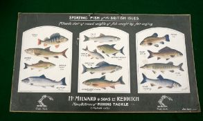 CARD SIGN: Rare Milward of Redditch Sporting Fish Of The British Isles card hanging poster shop