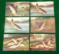 POSTCARDS: (6) Six Raphael Tuck & Son angling postcards depicting various fish, trout, salmon,