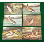 POSTCARDS: (6) Six Raphael Tuck & Son angling postcards depicting various fish, trout, salmon,