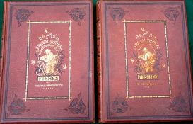 Houghton, Rev. W - "British Fresh-Water Fishes" 1st ed 1879, 2 x volumes, bright clean colour
