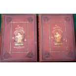 Houghton, Rev. W - "British Fresh-Water Fishes" 1st ed 1879, 2 x volumes, bright clean colour