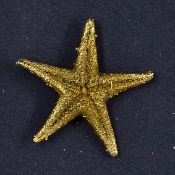 C.1970s Gold Plated Starfish Brooch no hallmarks, measures 5.5cm approx. from Cyprus, purportedly