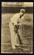 J. Gunn Cricket Postcard Lindley Series blank to the reverse and appears in good condition