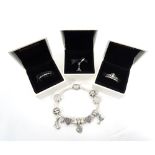 COLLECTION OF PANDORA JEWELLERY comprising a silver charm bracelet with a good selection of charms,