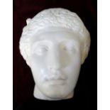 CLASSICAL PLASTER HEAD possibly depicting a Roman gentleman