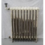 EDWARDIAN CAST IRON RADIATOR with ten sections, painted,