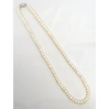 CULTURED PEARL NECKLACE with diamond set silver clasp,