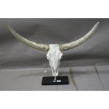 A WHITE PAINTED COMPOSITION MODEL OF AN ELK HEAD AND HORNS on a rectangular base 60cm x 66cm